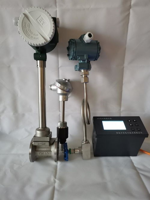 吉林長春食品廠專用蒸汽流量表 蒸汽計(jì)量表